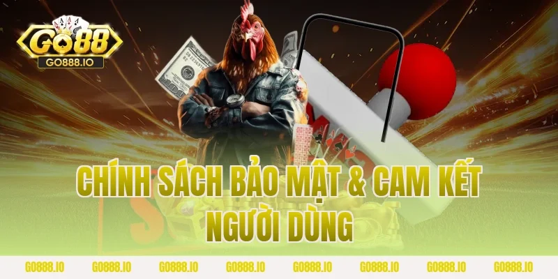 Chính sách bảo mật & cam kết người dùng